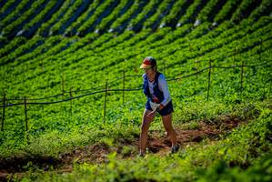 BIB: 
                            <button type="button" onclick="openModal(19160997)" class="btn btn-primary btn-sm float-right btn-popup" data-toggle="modal" data-target=".modal-high-quality">
                        <i class="fas fa-shopping-cart"></i> Add to Cart
                    </button>
                                            <button type="button" onclick="isThisMe(19160997, true)" class="btn btn-success btn-sm float-right btn-popup btn-isme hidden" data-toggle="tooltip" data-placement="bottom" title="นี่คือรูปของคุณใช่ไหม คลิกที่นี่เพื่อเอาเข้าอัลบั้ม">
                        <i class="fas fa-plus"></i> Add to album
                    </button>
                    <button type="button" onclick="isThisMe(19160997, false)" class="btn btn-warning btn-sm float-right btn-popup btn-isnotme hidden">
                        <i class="fas fa-ban"></i> Remove from album
                    </button>